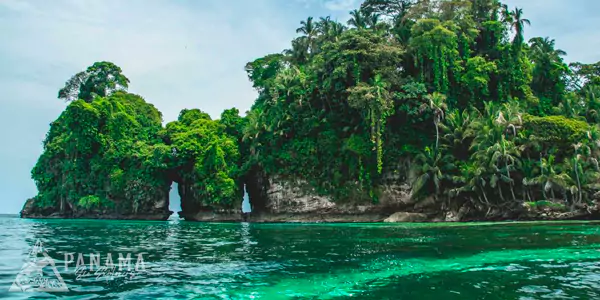 bird island panama tours expeditions