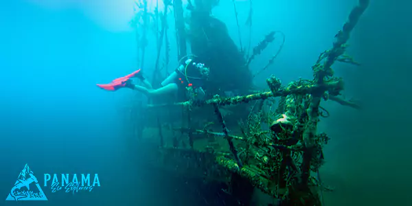bocas del toro dive shipwreck tour