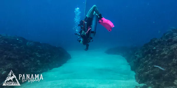 bocas del toro diving sports in panama