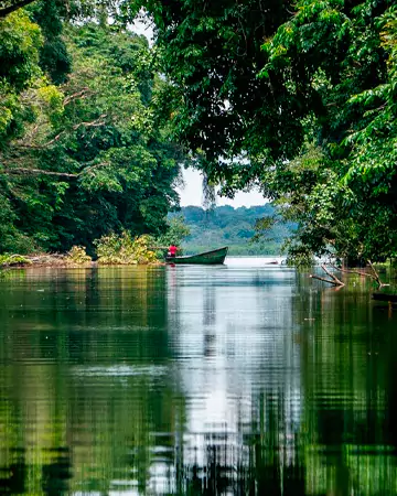 bocas-del-toro-mangroves-panama