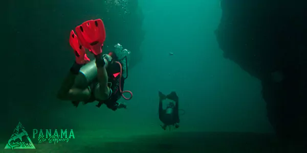 bocas del toro panama diving tour