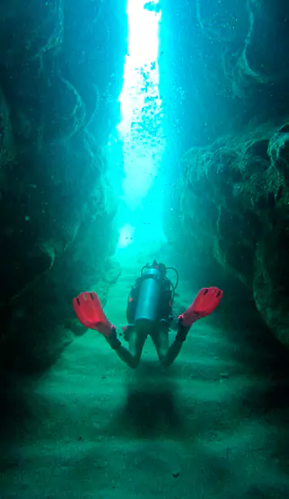 buceo-dive-in-panama
