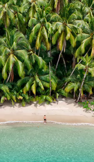 coiba island panama tours expeditions