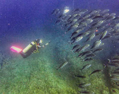 coiba-national-park-panama-tours-for-groups