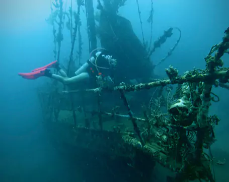 dive-in-bocas-del-toro