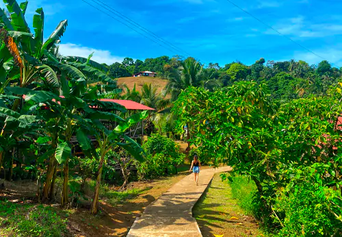 kusapin-panama-explorers