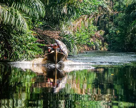 mangroves-in-panama