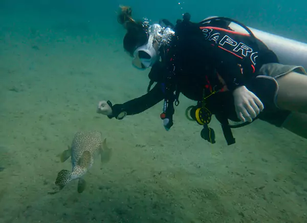 panama-dive-experience