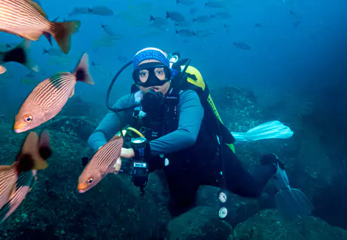 ve-tours-for-groups-in-coiba-national-park