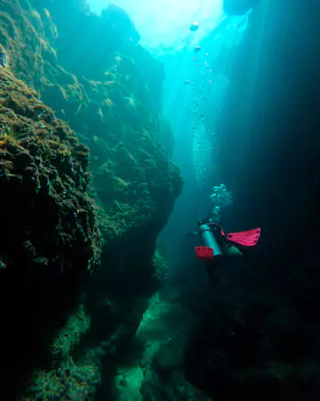 panama-dive-tours-for-groups