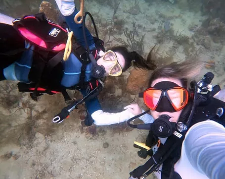 panama-diving-tailored-tours-for-groups-and-dmc