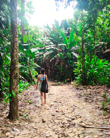 panama-wild-roads
