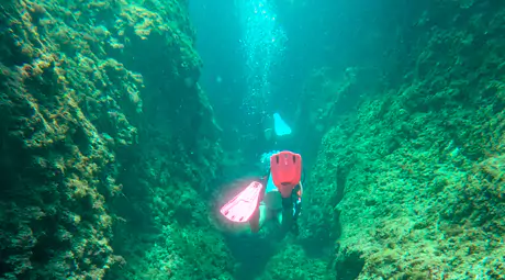 scuba diving in bocas del toro