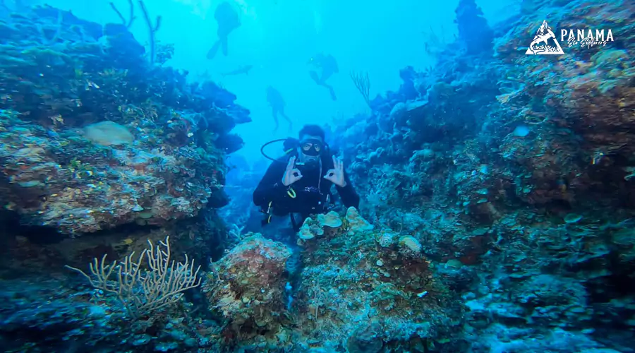 staff-panama-eco-explorers-tours-agency