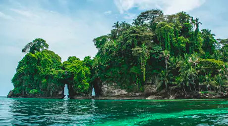 starfish beach and bird island